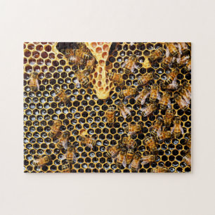 Bee Hive with Honeycomb Up Close Jigsaw Puzzle