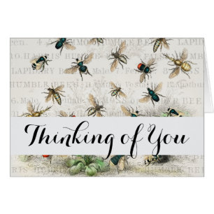 Bee Honey Worker Queen Bees Antique