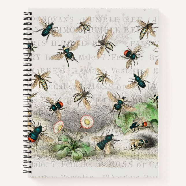 Bee Honey Worker Queen Bees Antique  Notebook (Front)