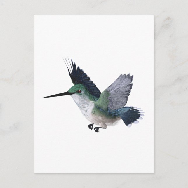 Bee Hummingbird Female Postcard (Front)