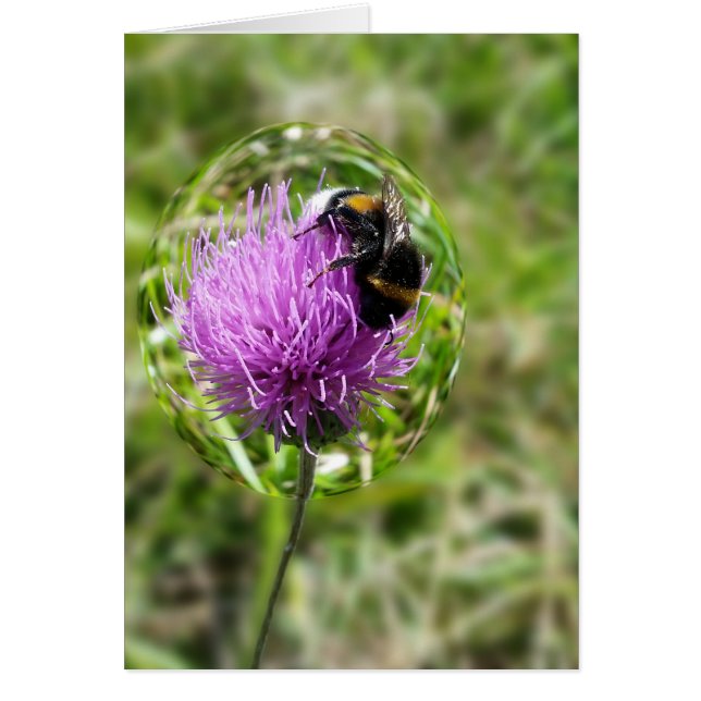 Bee in bubble (Front)