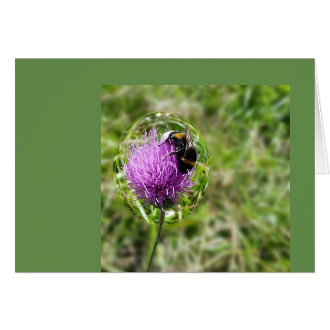 Bee in bubble (Front Horizontal)