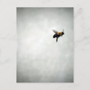 bee in flight postcard