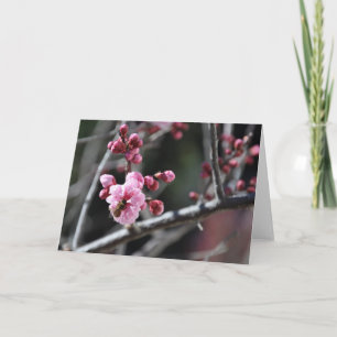 Bee in Flower - Greeting Card