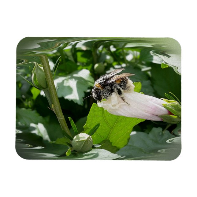 Bee in summer magnet (Horizontal)