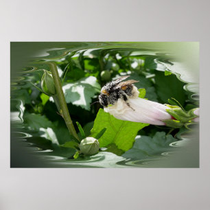 Bee in summer poster