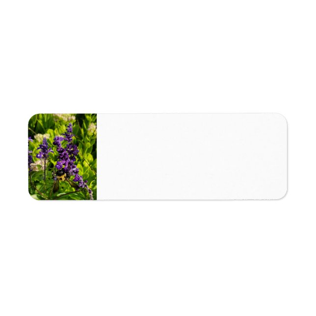 Bee in the Garden (Front)