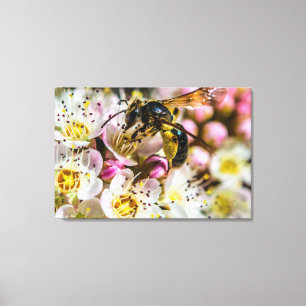 Bee In The Neighbourhood  Canvas Print 36 x 24