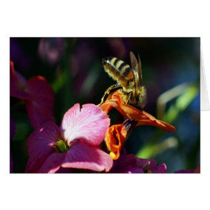 Bee-ing Busy!