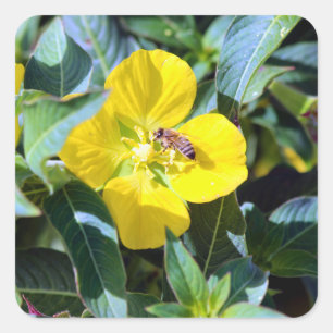 Bee-ing Productive Square Sticker