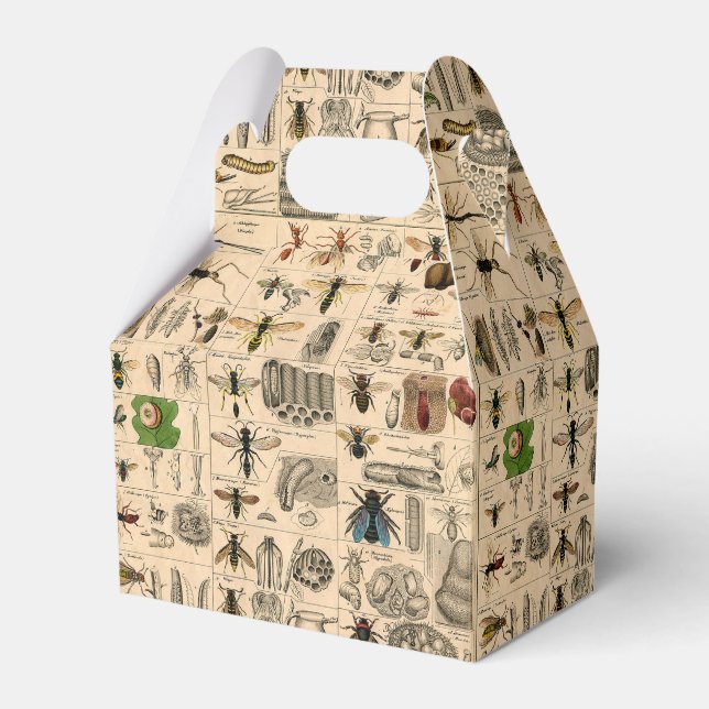 Bee Insect Bug Wasp Natural History Bees Favor Box (Front Side)