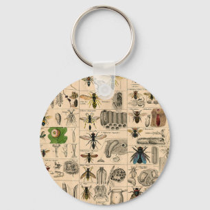 Bee Insect Bug Wasp Natural History Bees Keychain