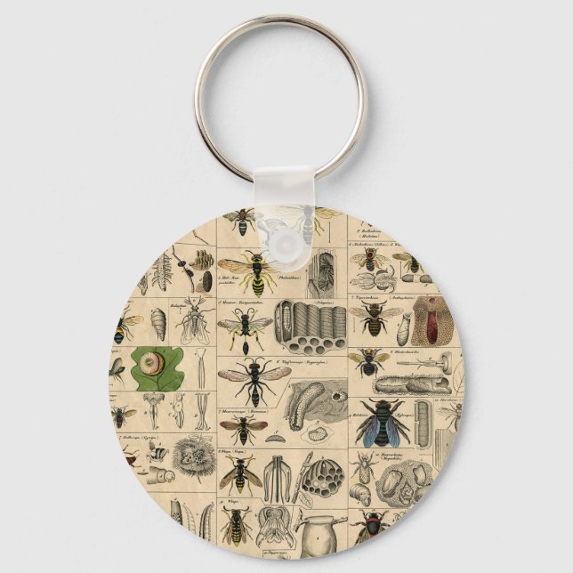 Bee Insect Bug Wasp Natural History Bees Keychain (Front)