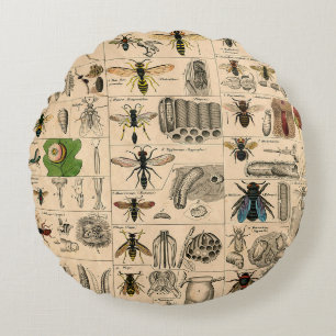 Bee Insect Bug Wasp Natural History Bees Round Pillow