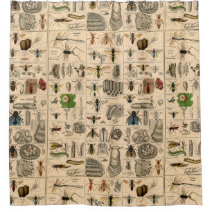 Bee Insect Bug Wasp Natural Nature Bees Painting
