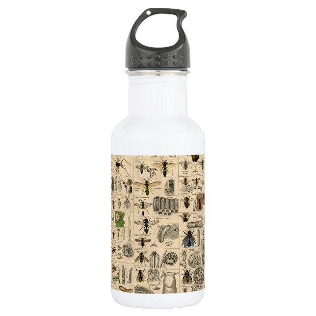 Bee Insect Bug Wasp Natural Nature Bees Painting 532 Ml Water Bottle (Front)