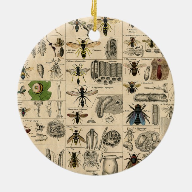 Bee Insect Bug Wasp Natural Nature Bees Painting Ceramic Ornament (Back)