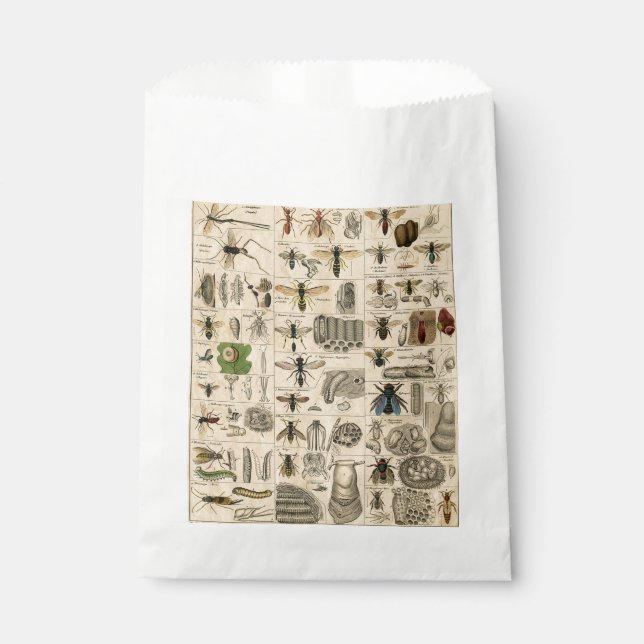 Bee Insect Bug Wasp Natural Nature Bees Painting Favour Bag (Front)