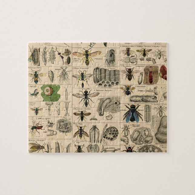 Bee Insect Bug Wasp Natural Nature Bees Painting Jigsaw Puzzle (Horizontal)
