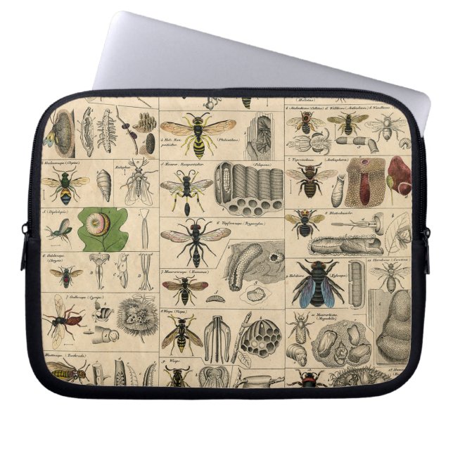 Bee Insect Bug Wasp Natural Nature Bees Painting Laptop Sleeve (Front)
