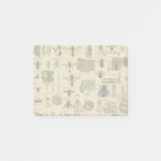 Bee Insect Bug Wasp Natural Nature Bees Painting Post-it Notes (Front)