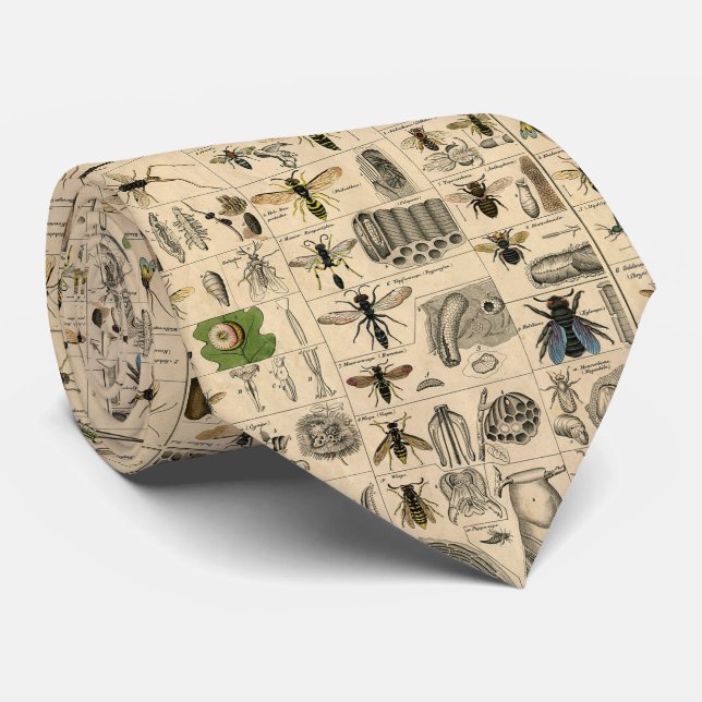 Bee Insect Bug Wasp Natural Nature Bees Painting Tie (Rolled)