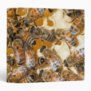 Bee keeping at Arlo's Honey Farm Binder