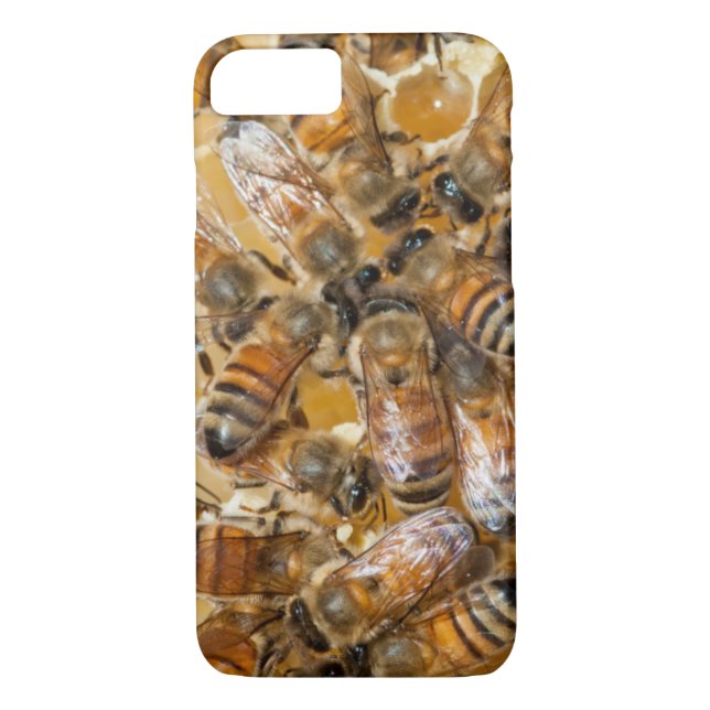 Bee keeping at Arlo's Honey Farm Case-Mate iPhone Case (Back)