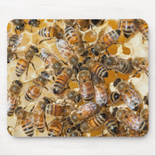 Bee keeping at Arlo's Honey Farm Mouse Pad