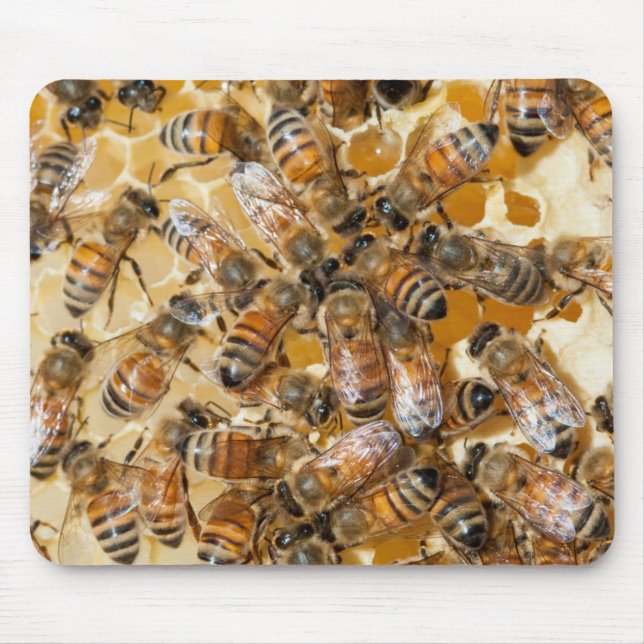 Bee keeping at Arlo's Honey Farm Mouse Pad (Front)