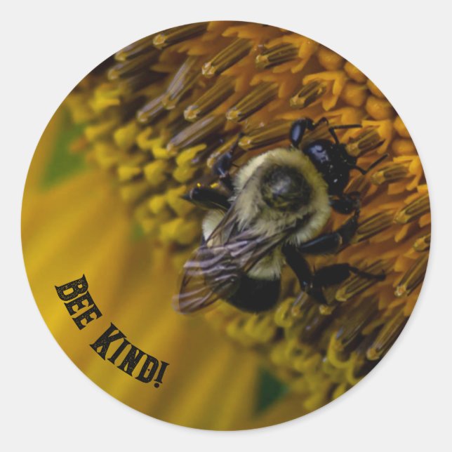 Bee Kind Stickers (Front)