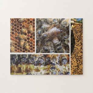 Bee Life Puzzle