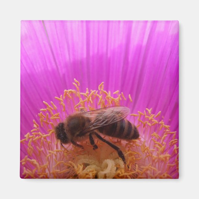 Bee Magnet (Front)