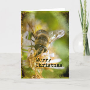 Bee Merry Christmas Holiday Card
