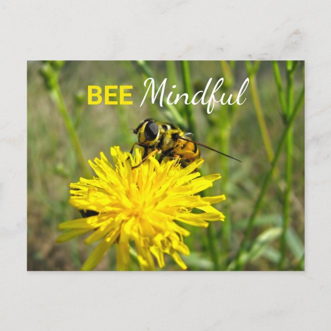 Bee Mindful Bumble Bee Dandelion Flower Postcard (Front)