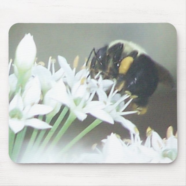 Bee Mouse Pad (Front)