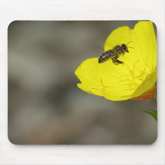 Bee Mousepad (Front)