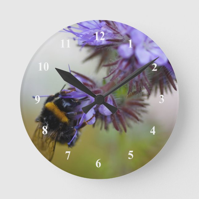 Bee on a Blue Tansy Acrylic Wall Clock (Front)