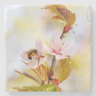 Bee On A Cherry Flower Stone Coaster