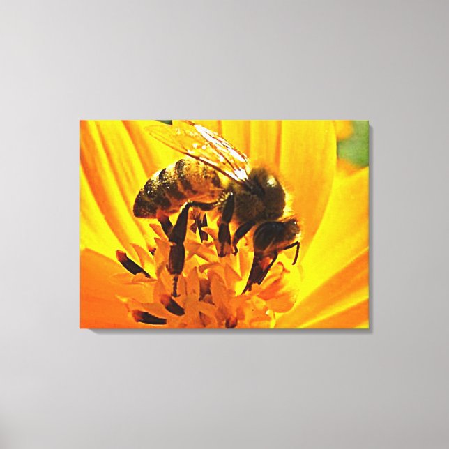 Bee on a Flower Canvas Print (Front)