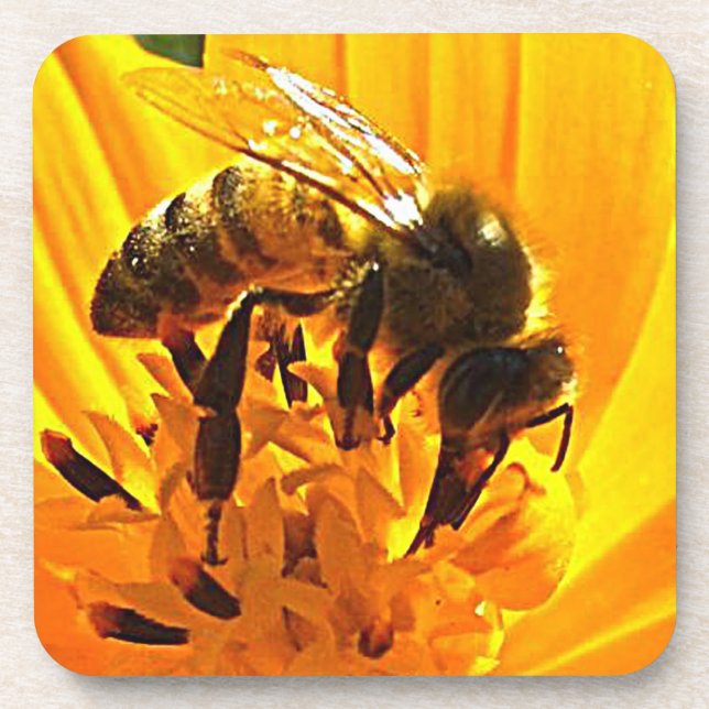 Bee on a Flower Coaster (Front)