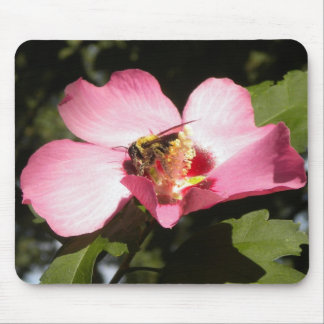 Bee on a Rose of Sharon 2 mousepad