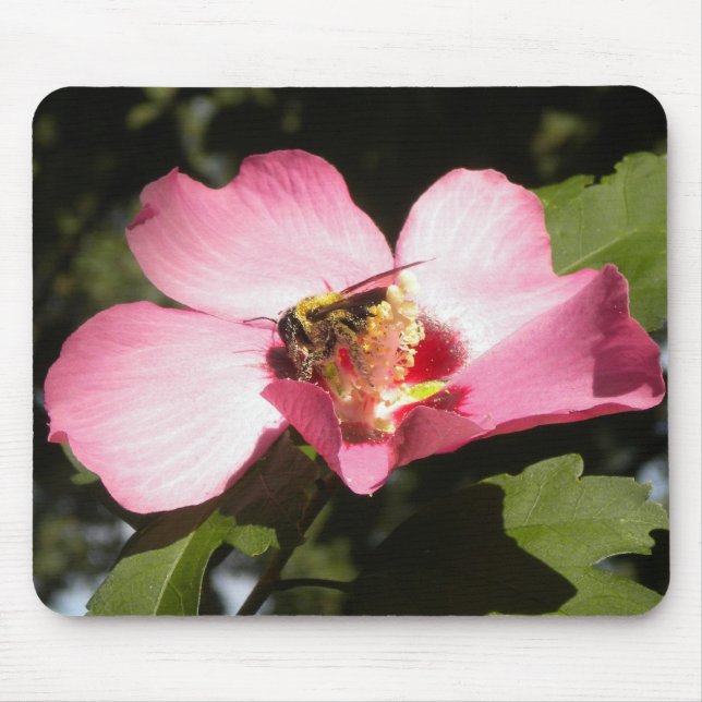 Bee on a Rose of Sharon 2 mousepad (Front)