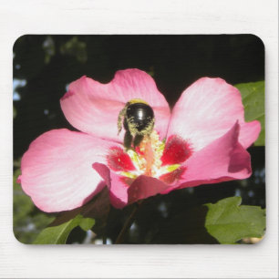 Bee on a Rose of Sharon mousepad
