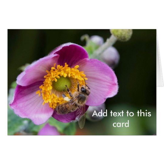 Bee on Anemone flower, card