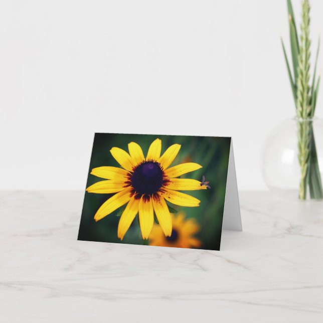 Bee On Black Eyed Susan Flower Photography  Note Card (Front)