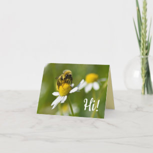 Bee On Camomile Flower Hi! Blank Photo Note Card