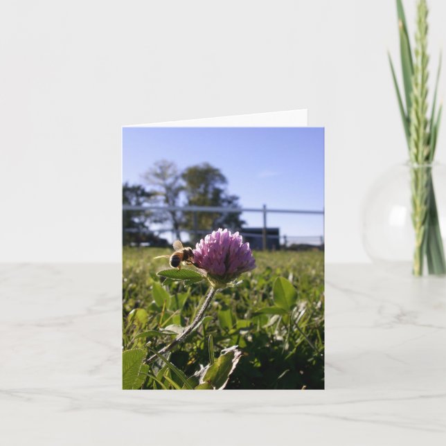 Bee on Clover Notecard (Front)