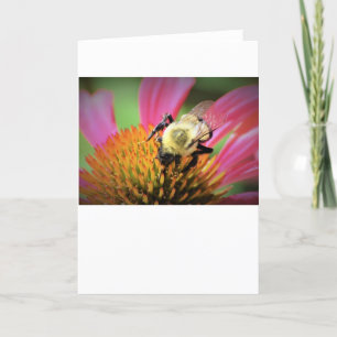Bee on Coneflower, card