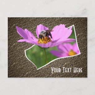 Bee On Cosmos Flower Customizable Postcard